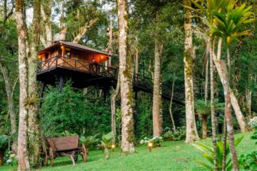 pousada de airbnb como casa da árvore em monte verde