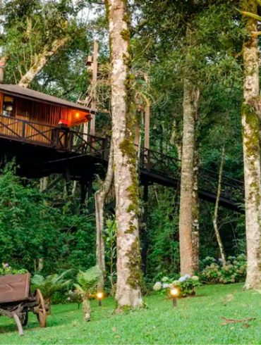 pousada de airbnb como casa da árvore em monte verde