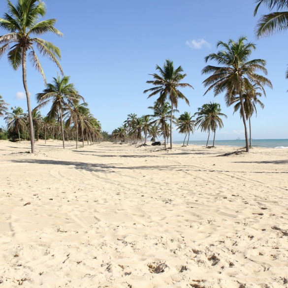 Hotéis românticos no Ceará