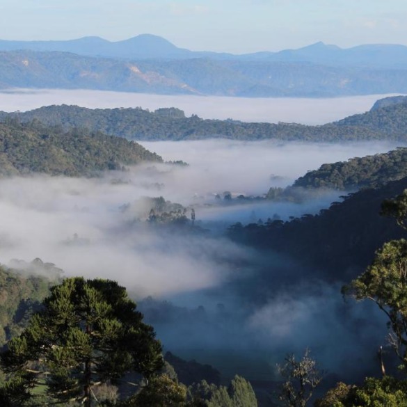 Cabanas e Chalés na Serra Catarinense